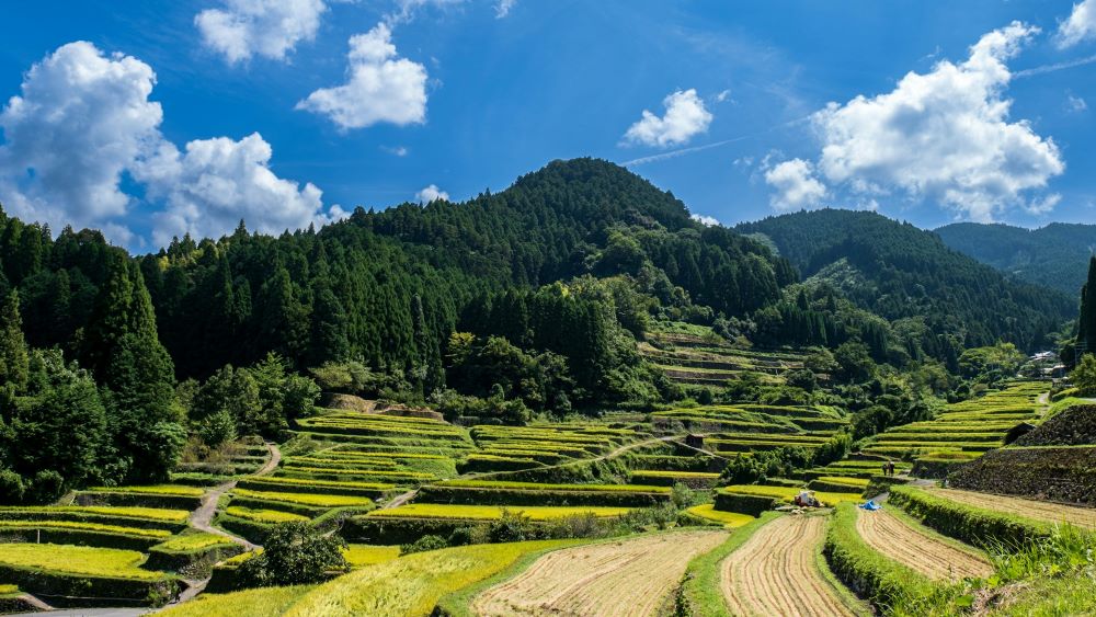 agriculture in japan